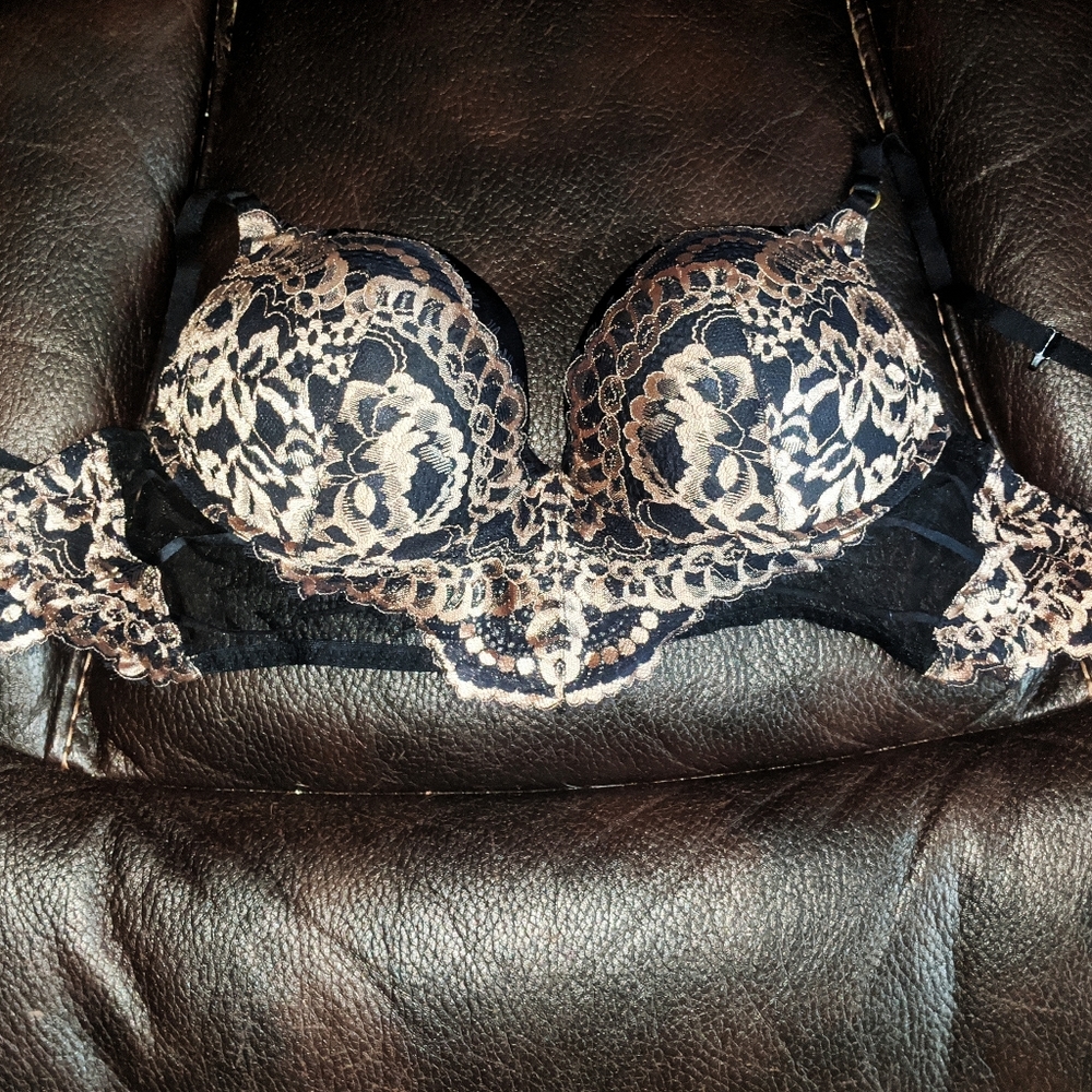 2/$40-32D La Senza Lace Pushup